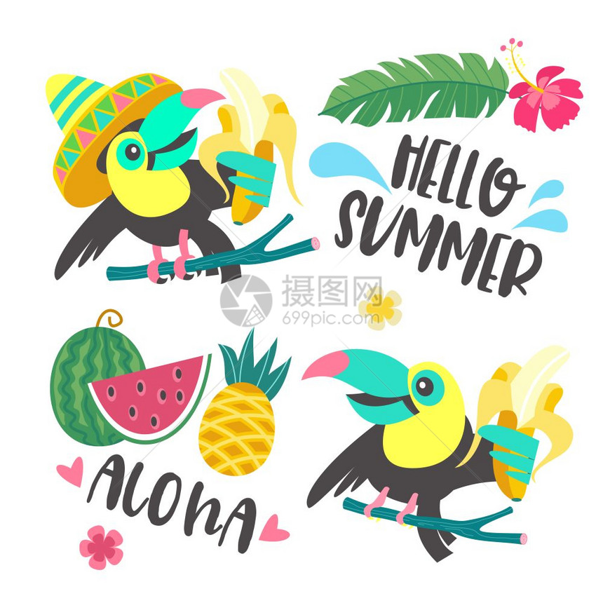 你好,夏天阿洛哈可爱趣的卡通巨嘴鸟热带天堂你好,夏天阿洛哈趣的巨嘴鸟着香蕉热带树叶,花,菠萝,图片