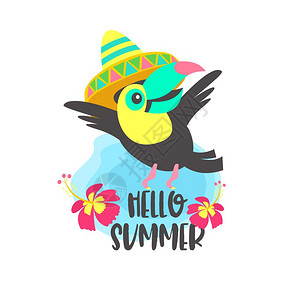 你好,夏天阿洛哈可爱趣的卡通巨嘴鸟热带天堂你好,夏天彩色矢量插图穿着墨西哥帽子的欢快明亮的巨嘴鸟背景图片