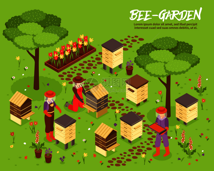 养蜂场与蜂箱蜂蜜收获等距海报与养蜂友好植物花园背景矢量插图贝加登蜂场等距插图图片