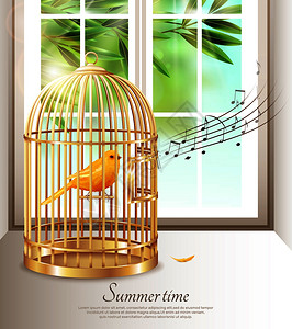 金丝雀歌唱金色鸟笼与音乐音符夏季时间背景下的窗口矢量插图夏天的时间插图中唱金丝雀背景图片