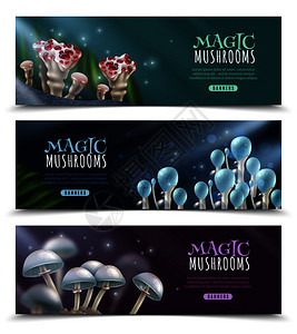 水平横幅与闪亮的魔法蘑菇火花黑暗模糊的背景矢量插图魔法蘑菇水平横幅图片