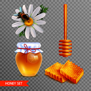 蜂窝透明素材蜂蜜写实透明的背景上,用两块蜂窝木制迪珀棒璃罐蜂蜜雏菊花与坐蜂分离矢量插图蜂蜜写实透明的背景上插画