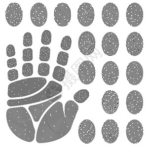 黑白指纹的手指手掌与独特的细节隔离矢量插图手指手掌的指纹图片