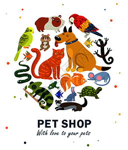 宠物店圆形构图与各种动物的白色背景与彩色斑点矢量插图宠物店圆形构图图片