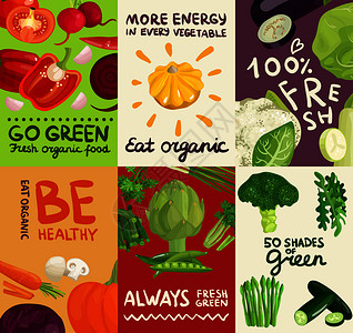 套海报横幅与蔬菜,草药印刷字体彩色背景上矢量插图蔬菜海报横幅图片