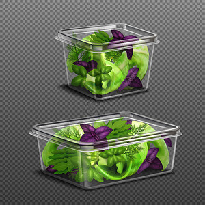 塑料饭盒新鲜的绿色紫色沙拉叶2个塑料食品储存容器上透明的背景现实矢量插图新鲜沙拉塑料储存透明插画