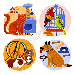 宠物包括猫与玩具,鹦鹉附近的鸟笼,啮齿动物,狗与骨头矢量插图宠物图片