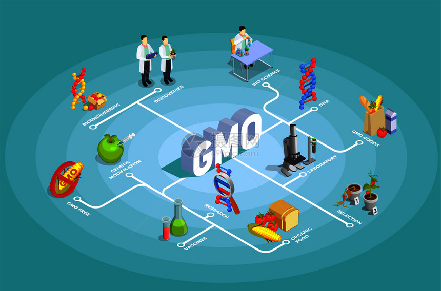 基因生物等距流程图绿松石背景与DNA,研究,机食品,基因商品载体插图基因生物等距流程图图片