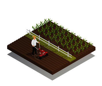 农业机械农业设备等距成与手推花园耕耘机耙种植作物矢量插图农业园艺农业设备成背景图片