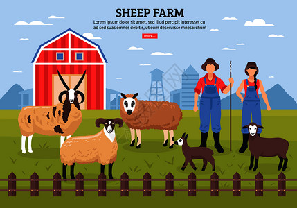 羊育种与谷仓农民夫妇放牧羔羊母羊平海报矢量插图羊场海报图片