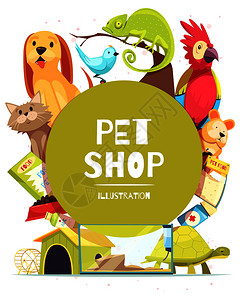 宠物店背景与绿色圆形框架,动物,食物,药物,狗的家水族馆矢量插图宠物店框架背景背景图片