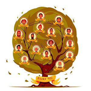 老人轻代的家庭成员的谱系树集,叶龄背景向量插图上家庭成员家谱树集图片
