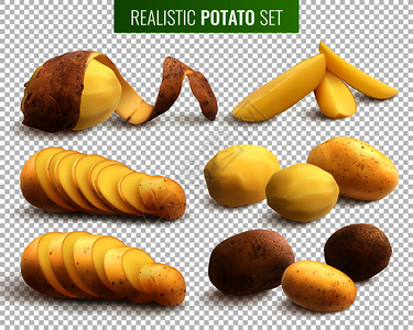 干锅豆片毛笔字生土豆透明的背景与整个根作物切片现实的矢量插图现实的土豆套插画