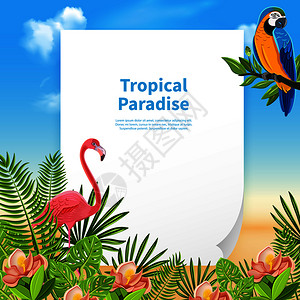 热带天堂构图与张纸可编辑的文本海滩背景与植物矢量插图夏季天堂背景构图图片