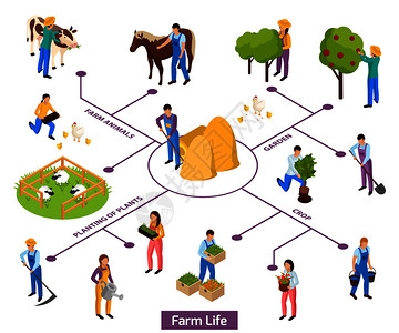 普通农民生活等距构图流程图与人类特征图标的动植物矢量插图农场等距流程图成背景图片