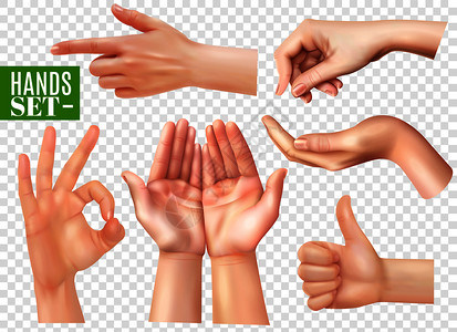 OK的手势人的手手势,真实的图像与指向手指,OK标志拇指,透明的背景矢量插图现实的手透明插画
