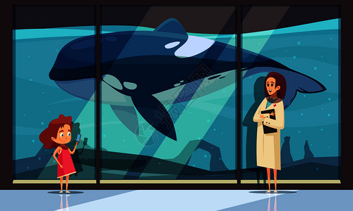 海豚馆横向构图与酒店水族馆墙女人物的解释少女矢量插图参观海豚馆博物馆构图背景图片