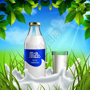 天然乳制品的真实成分与瓶全璃牛奶阳光草地草矢量插图牛奶逼真的成分背景图片