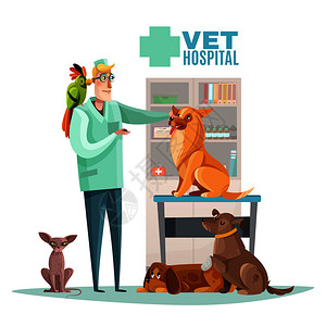 兽医医院宠物插图图片