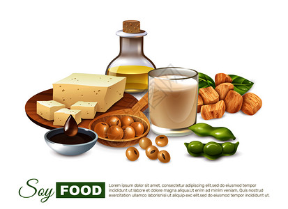 豆类大豆食品海报插画