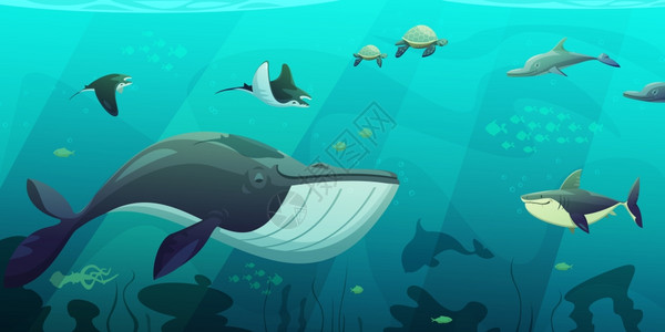 海宝素材水下海洋生物抽象水下海洋活海宝平抽象与鲨鱼鱿鱼鱼海龟海藻平矢量插图插画