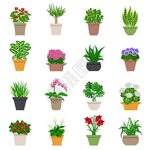 室内植物图标室内植物图标与植物花卉平孤立矢量插图图片