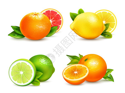 柑橘类水果4个现实图标新鲜柑橘类水果整体半4个现实的图标正方形与橙色葡萄柚柠檬分离矢量插图背景图片