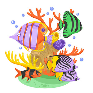 浪涌保护器异国情调的热带鱼插图异国情调的热带鱼类与鱼类珊瑚平矢量插图插画