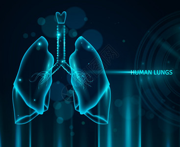 呼气人类肺部背景透明的人肺蓝色背景与光效应Bokeh平矢量插图插画
