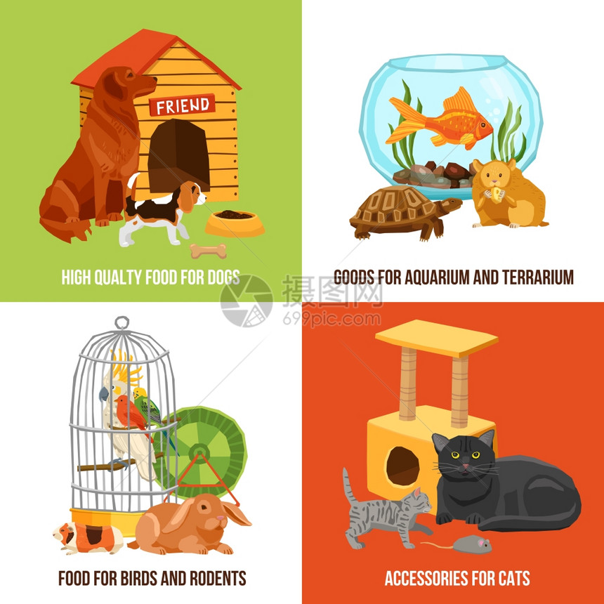 家庭宠物2x2家庭宠物2x2集的高质量食品配件为狗,猫,鸟啮齿动物矢量插图图片