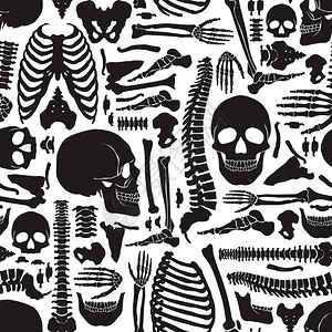 人类骨骼骨架模式单色人体骨骼无缝图案与大头骨各种单骨扁平矢量插图图片