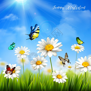 蝴蝶背景的花美丽的彩绿草与甘菊花背景平矢量插图图片