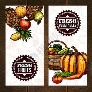 蔬菜水果篮子蔬菜水果垂直横幅蔬菜水果垂直横幅与菠萝柠檬梨,苹果,南瓜,胡萝卜,黄瓜番茄矢量插图插画