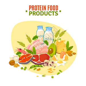 鸡豆凉粉蛋白质食品平插图海报含蛋白质产品品种健康的日常配给,包括乳制品蔬菜平背景海报抽象矢量插图插画