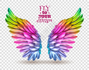 彩色机翼透明套装五颜六色的鸟翅透明的背景上,阴影平矢量插图图片