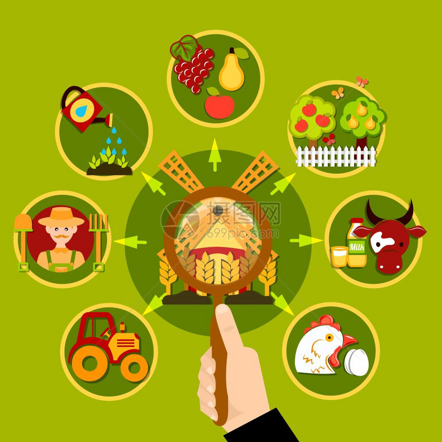 农业放大镜头的农业圆形构图与人手镜头磨坊与圆形农业图像水果动物矢量插图图片