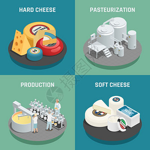 帕尔马奶酪生产等距图标软硬奶酪生产4等距图标正方形与巴氏菌过程隔离矢量插图插画