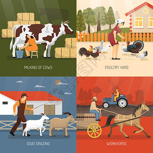 牛场卡通素材农场动物农场动物与四个方形图标集挤奶牛,家禽场,山羊放牧工作场所描述矢量插图插画