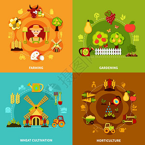 农耕广场构图集四个农业园艺小麦种植广场的成与彩色图标的水果,植物工具矢量插图背景图片