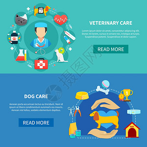 宠物护理横幅宠物狗水平横幅平隔离矢量插图的兽医护理图片