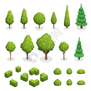 树形状公园植物等距集等距的公园植物与绿树各种形状的灌木丛隔离矢量插图插画