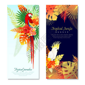 热带鹦鹉垂直横幅现实的热带鹦鹉垂直横幅与彩色鸟类树叶的成与可编辑的文本矢量插图背景图片