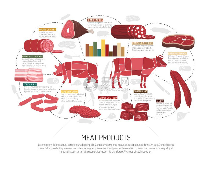 肉类市场产品平信息海报肉类市场产品品种信息展示与猪肉羊肉牛肉香肠火腿培根熟食平矢量插图图片