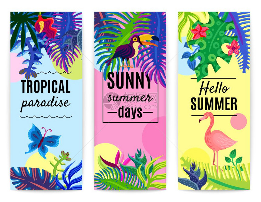 热带天堂垂直横幅收集热带天堂暑假3垂直彩色背景横幅植物花嘴火烈鸟孤立矢量插图图片