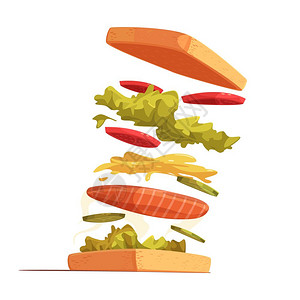 三明治成分成三明治成分与包,红鱼,切片,蔬菜,沙拉芥末酱矢量插图图片