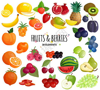 水果浆果构图背景海报地中海水果新鲜农贸市场浆果混合彩色30图标成白色背景海报矢量插图背景图片