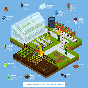 水培气培信息摄影集水培航空等距信息图集与植物农业符号矢量插图背景图片