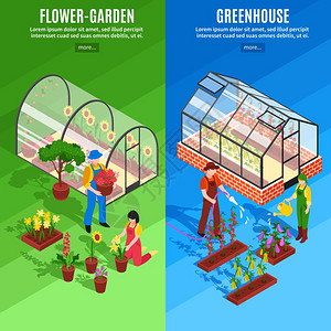 园艺景观温室垂直横幅套两个垂直温室垂直横幅花卉花园温室描述矢量插图插画