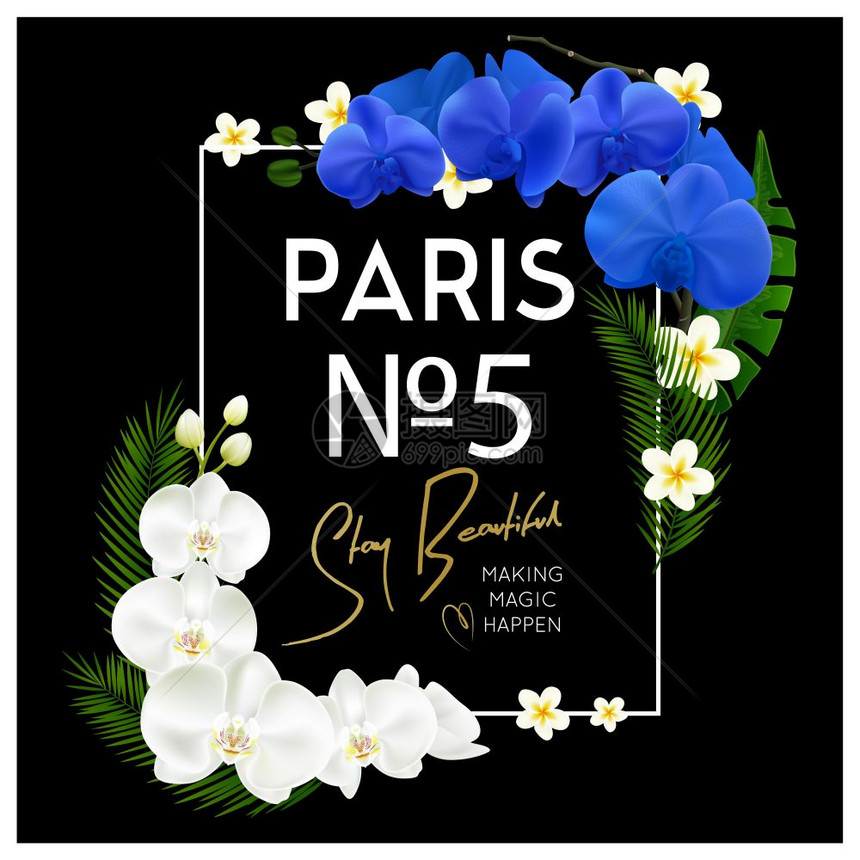 兰花架香水黑色背景巴黎5香水装饰蓝色白色盛开的兰花框架黑色背景现实矢量插图图片