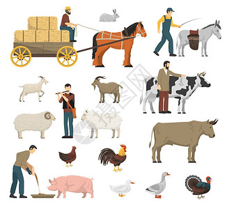 马驴农场动物集合农场动物牛马平孤立矢量插图插画